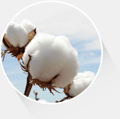 ��Ȼ����Ⱦ�Ĺ�ӦԴͷ