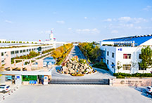 è��������