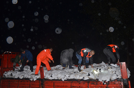 ��˾װ��ɳ�� �������鹤