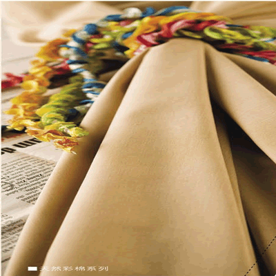 è��������|mrcat����|è��������