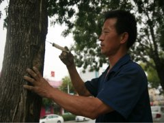 �����Ϊ�������β���