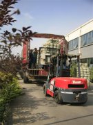 ��ɴ��˾ץЧ��  �г�ЧӦ����