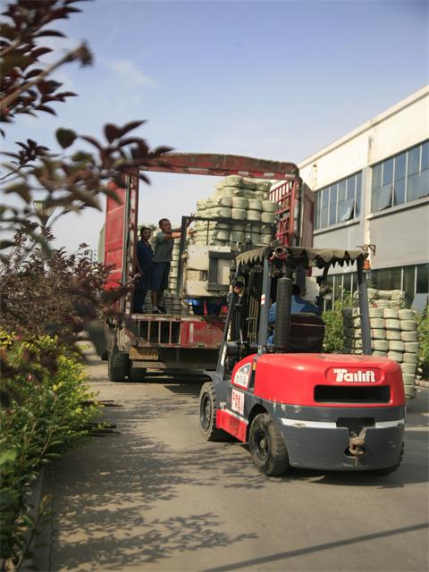 è��������|mrcat����|è��������