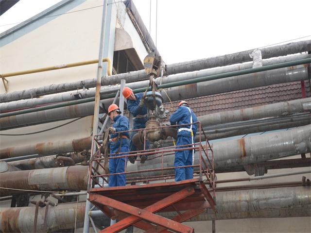 è��������|mrcat����|è��������