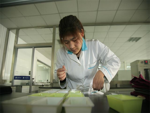 è��������|mrcat����|è��������