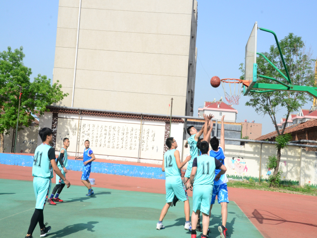 è��������|mrcat����|è��������