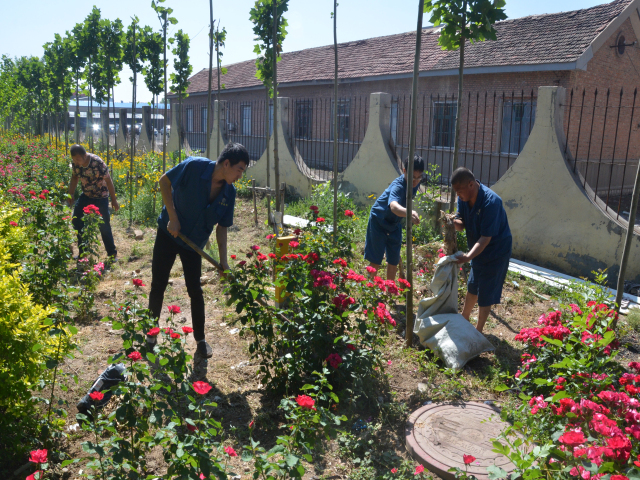 猫先生菠菜|mrcat体育|猫先生官网