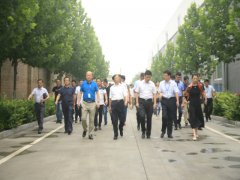 ʡ�����ں�����д������߽�è��������