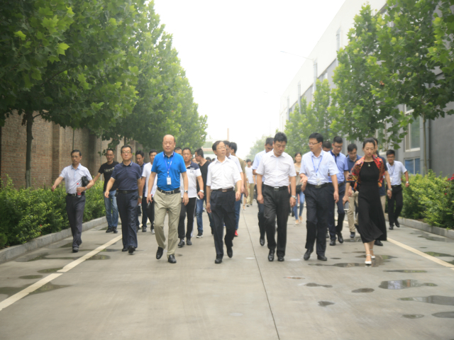 猫先生菠菜|mrcat体育|猫先生官网