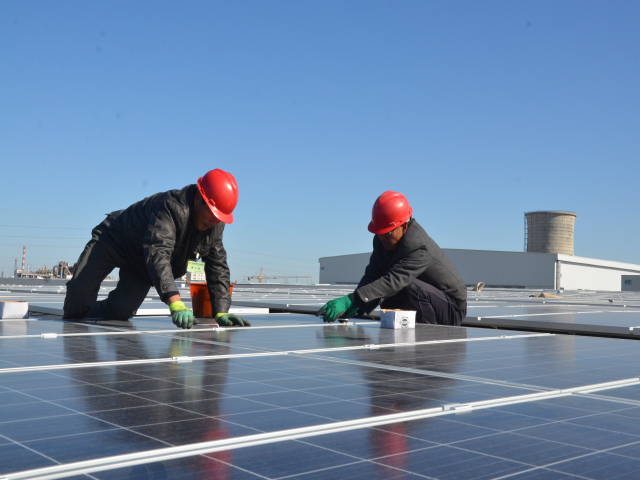 è��������|mrcat����|è��������