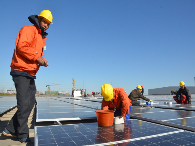 è��������|mrcat����|è��������