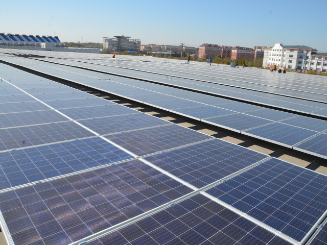 è��������|mrcat����|è��������