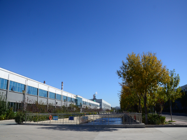 èÏÈÉú²¤²Ë|mrcatÌåÓý|èÏÈÉú¹ÙÍø