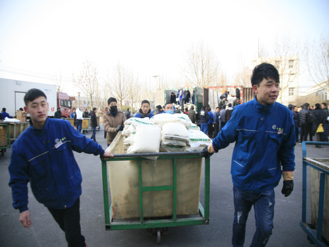 猫先生菠菜|mrcat体育|猫先生官网