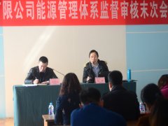 公司通过能源治理系统监视评审