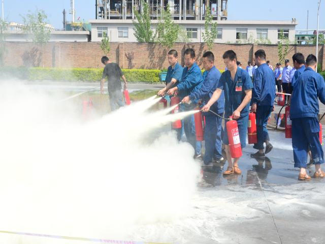 猫先生菠菜|mrcat体育|猫先生官网