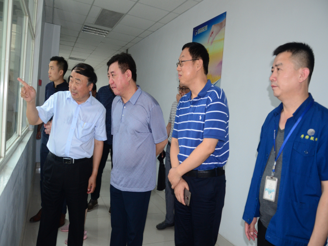 猫先生菠菜|mrcat体育|猫先生官网