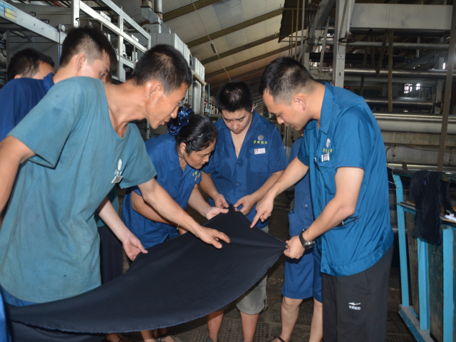 猫先生菠菜|mrcat体育|猫先生官网