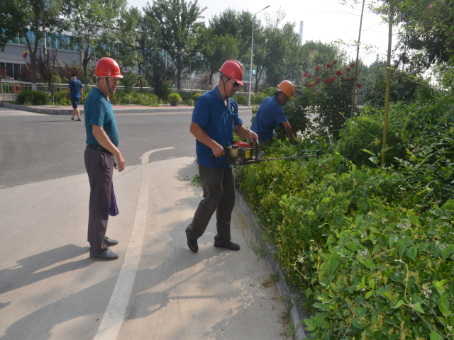 èÏÈÉú²¤²Ë|mrcatÌåÓý|èÏÈÉú¹ÙÍø