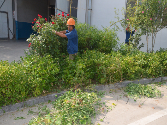 èÏÈÉú²¤²Ë|mrcatÌåÓý|èÏÈÉú¹ÙÍø