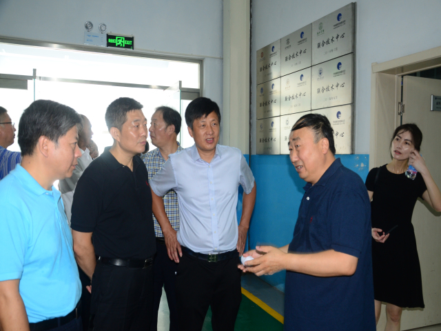 猫先生菠菜|mrcat体育|猫先生官网