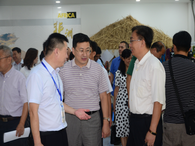 猫先生菠菜|mrcat体育|猫先生官网