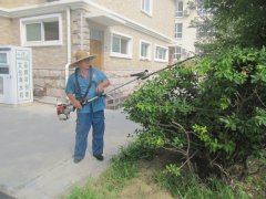 ��Ŀ�Դ䱳���԰��