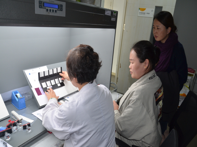 è��������|mrcat����|è��������