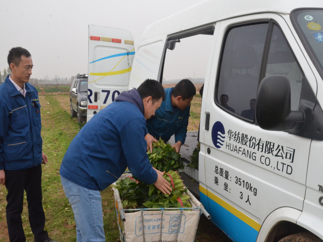 è��������|mrcat����|è��������