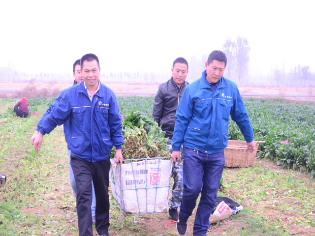 è��������|mrcat����|è��������