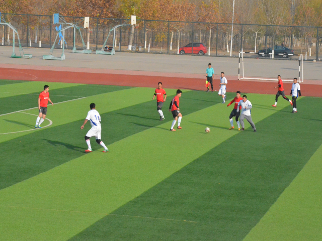 è��������|mrcat����|è��������