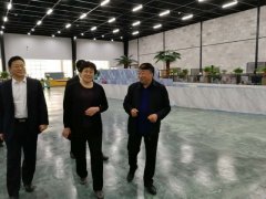 ʡ��ҵ����Ϣ�����򵼵���˾����ָ��