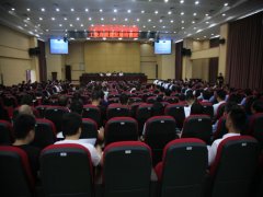 ��˾���������߼��뼯����ѵ