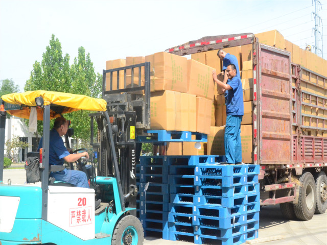 è��������|mrcat����|è��������