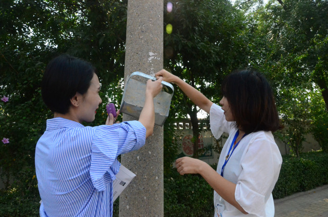 猫先生菠菜|mrcat体育|猫先生官网