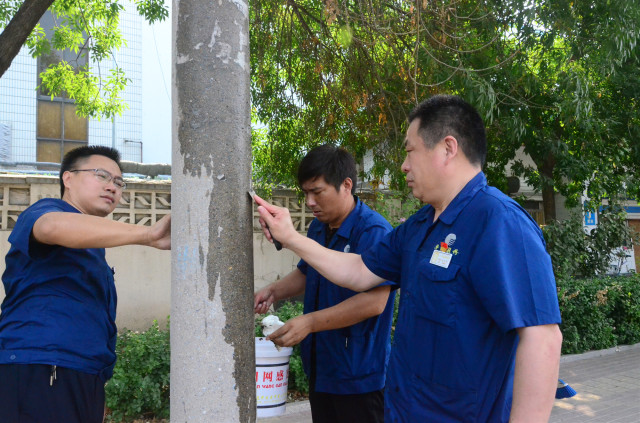 猫先生菠菜|mrcat体育|猫先生官网