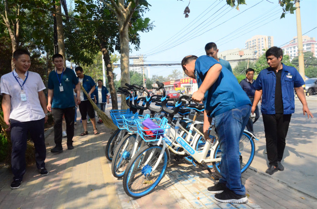 猫先生菠菜|mrcat体育|猫先生官网