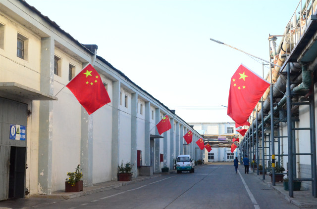 猫先生菠菜|mrcat体育|猫先生官网