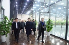 ���ܡ����򸣡�����ҡ��鷨�����˶��߽�è��������