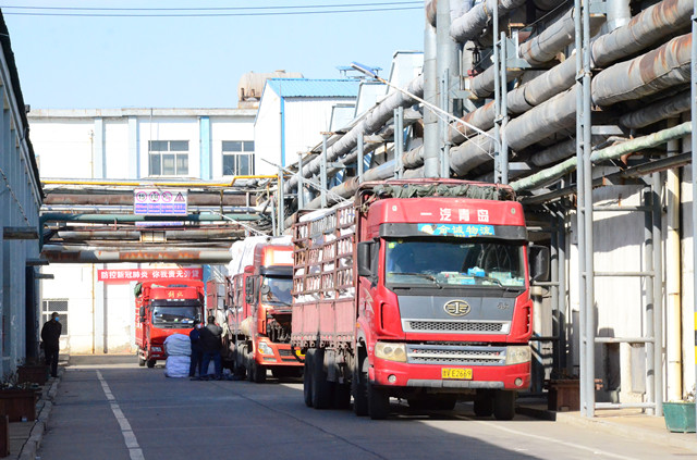 猫先生菠菜|mrcat体育|猫先生官网