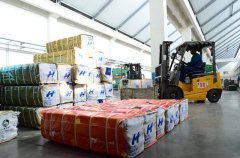 ������Ч����  �����������������뽻��