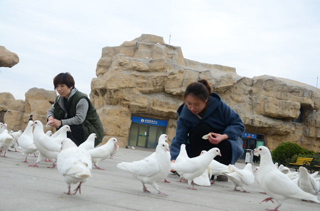 è��������|mrcat����|è��������