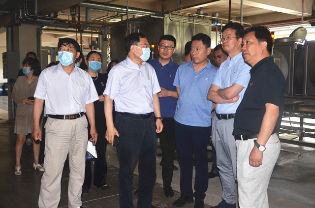 猫先生菠菜|mrcat体育|猫先生官网