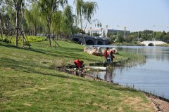 建设文明城 我们在行动