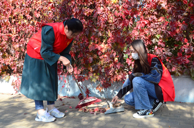 猫先生菠菜|mrcat体育|猫先生官网