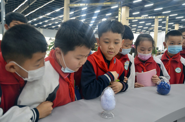 è��������|mrcat����|è��������