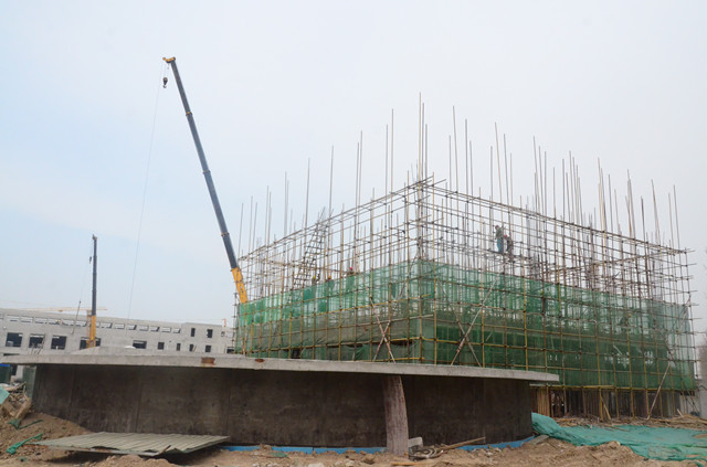 è��������|mrcat����|è��������