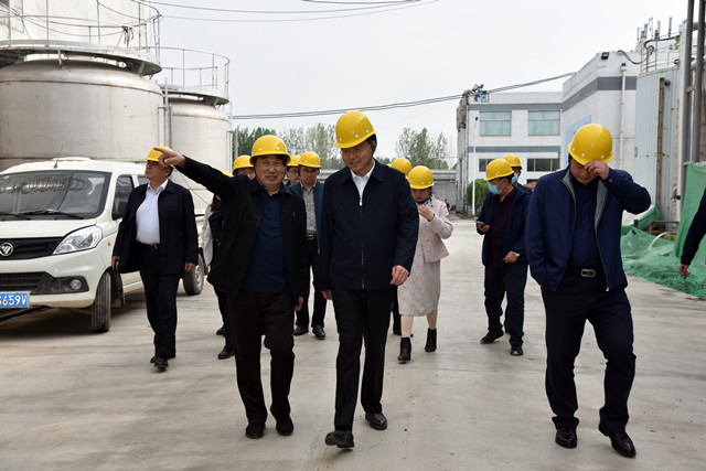 猫先生菠菜|mrcat体育|猫先生官网