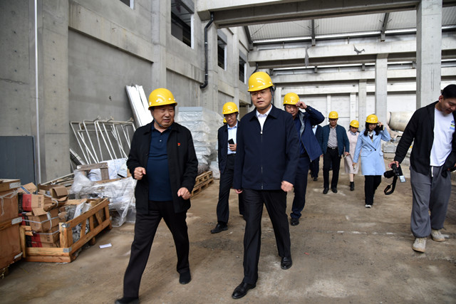 猫先生菠菜|mrcat体育|猫先生官网