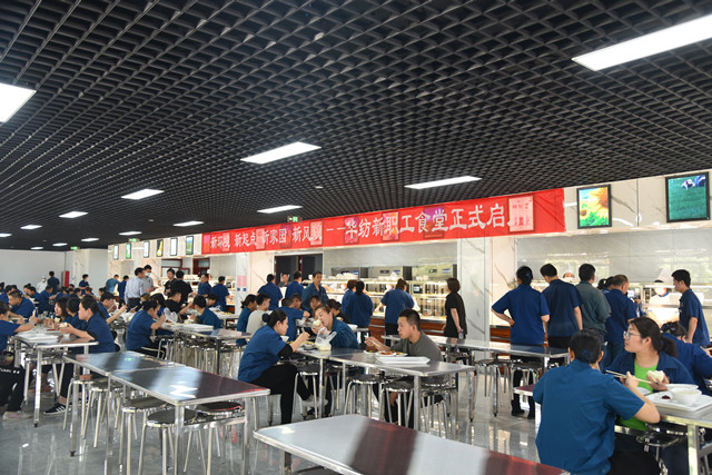 è��������|mrcat����|è��������